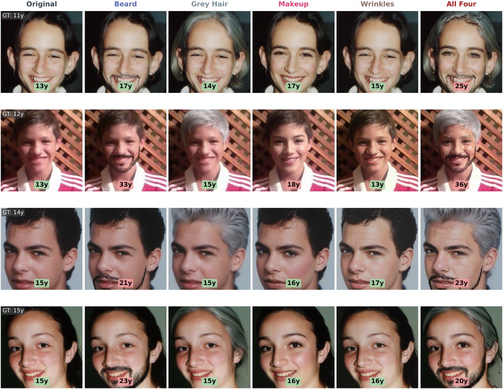 Cosmetic attacks on age estimation